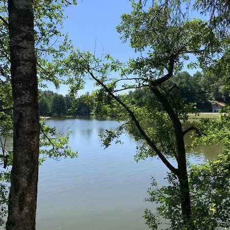 Waldblick