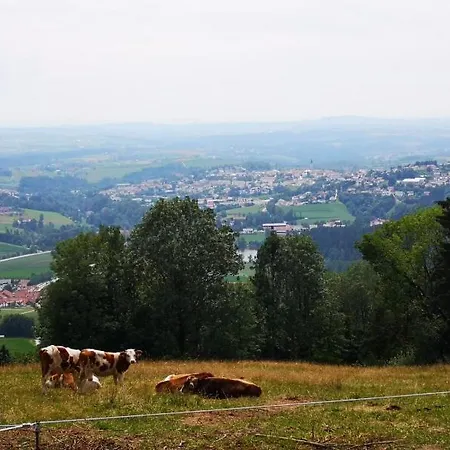 Waldblick Hauzenberg