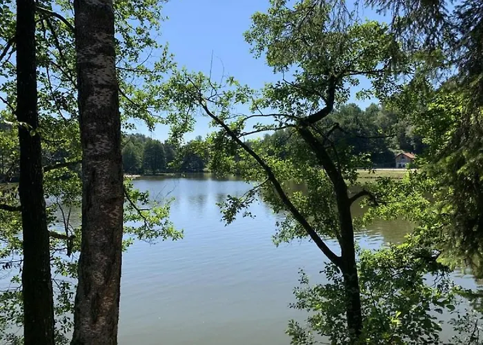 Waldblick