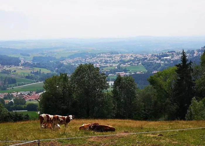 Waldblick Hauzenberg